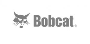 bobcat