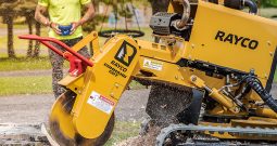 RG55T-R-STUMP-CUTTER