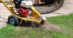 New Rayco RG13 Series II