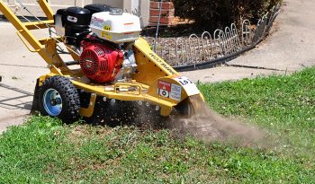 New Rayco RG13 Series II full