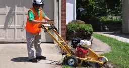 New Rayco RG13 Series II