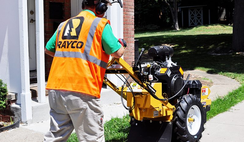 New Rayco RG25HD full