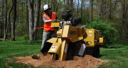 New Rayco RG37 Super Jr