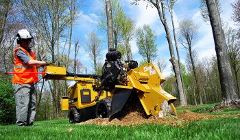 New Rayco RG37 Super Jr