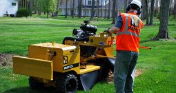 New Rayco RG37 Super Jr