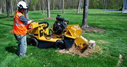 New Rayco RG37 Super Jr