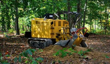 New Rayco RG74T-R full