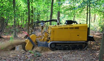 New Rayco RG74T-R full