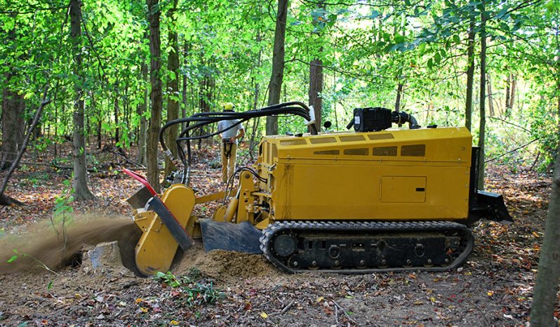 New Rayco RG74T-R full