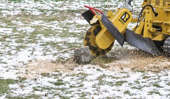 New Rayco RG74T-R full