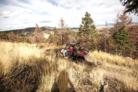 3400-mg2984-14l5_cvr_new_mg_full