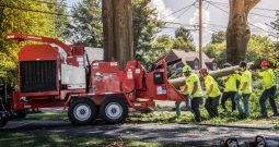 Morbark-Eeger-Beever-2131